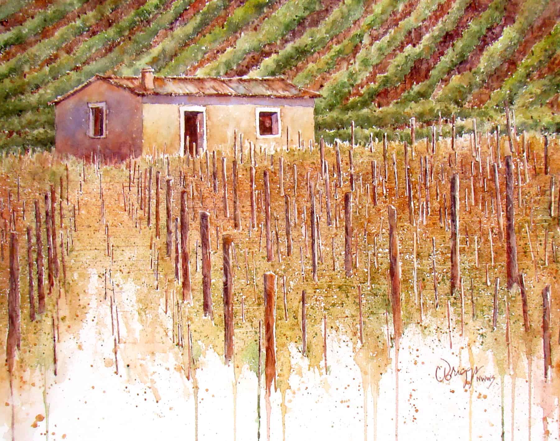 Val diOrcia Vineyard Orcia Watercolor Paintings Cindy Briggs Art Watercolor Painting