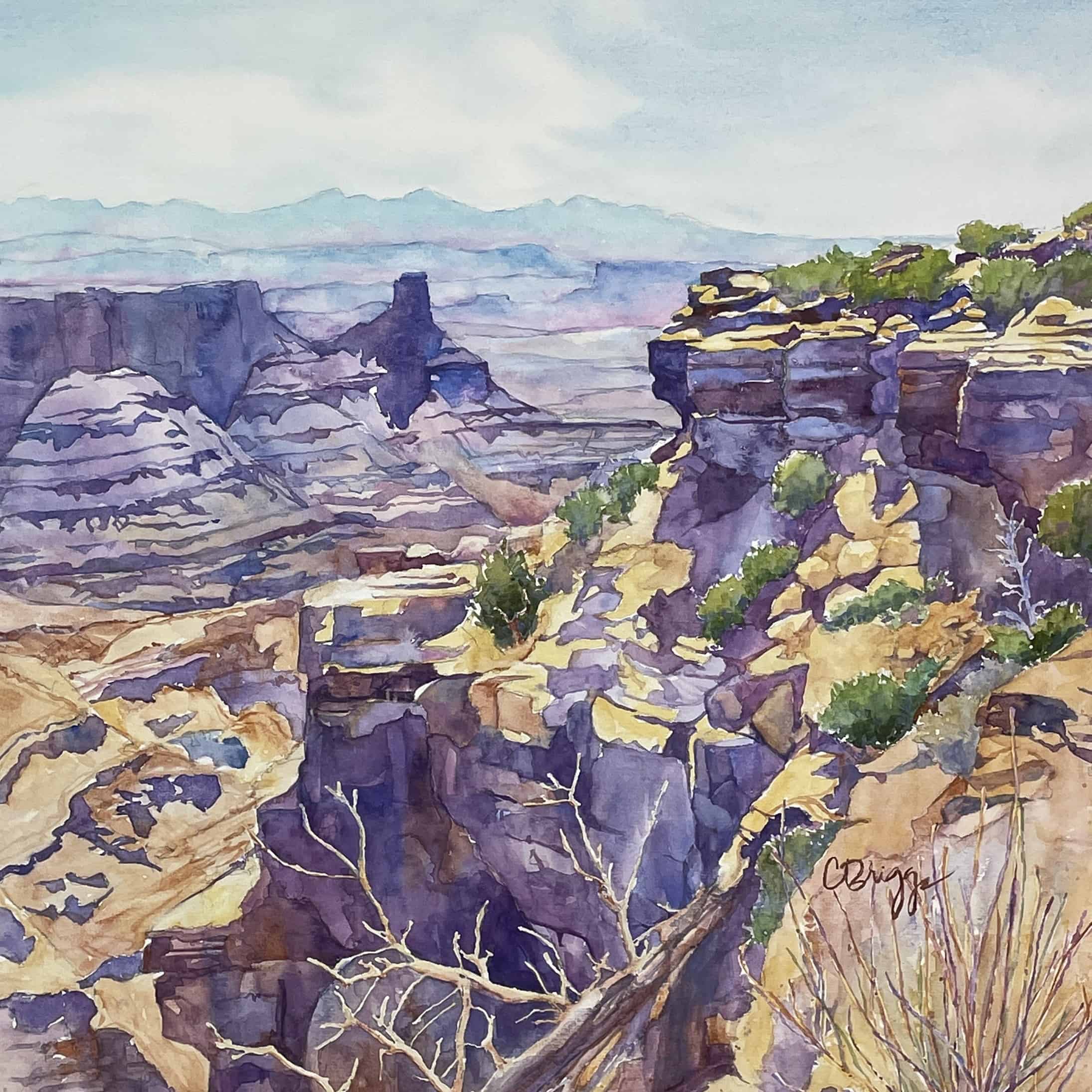 Cindy Briggs Dead Horse Point Canyonlands Utah