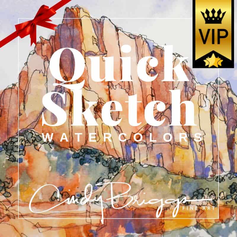 GIFT CARDS Cindy Briggs Art Watercolor Painting QUICK SKETCH VIP gift